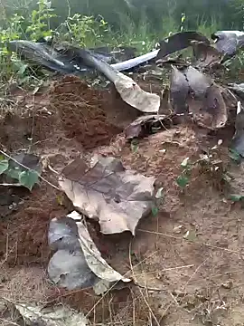 Snapshot of Gopal1243 chatting on February 20, 12:04 pm Gopal1243 online show from February 20, 12:04 pm