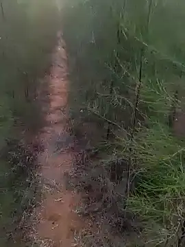 Snapshot of Gopal1243 chatting on March 1, 1:22 am Gopal1243 online show from March 1, 1:22 am