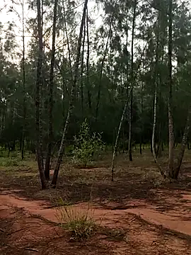 Snapshot of Gopal1243 chatting on October 9, 1:58 am Gopal1243 online show from October 9, 1:58 am