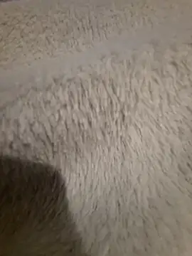 GeilerSchweizer online show from April 24, 8:00 pm