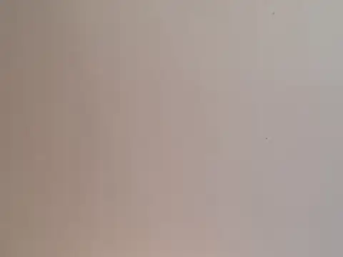 highstepper500 online show from December 25, 2:02 pm