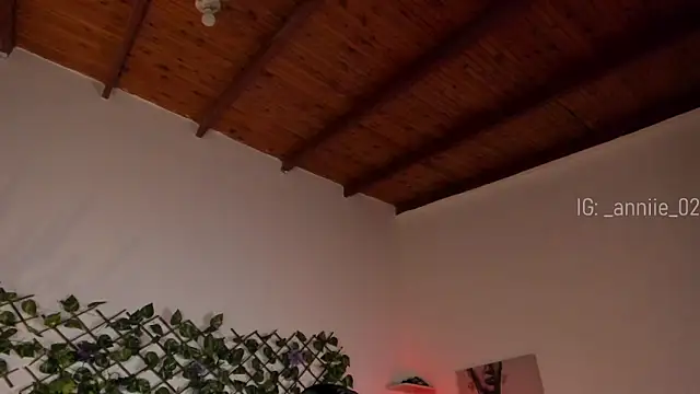 Snapshot of annie_barozzi chatting on January 21, 1:32 pm annie barozzi online show from January 21, 1:32 pm