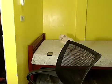 xx goddessofallgodess xx online show from October 2, 2:51 am