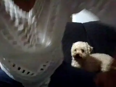 RAYA 1 online show from February 2, 12:51 am