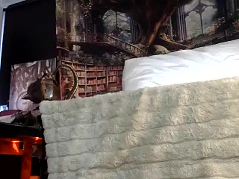 Snapshot of OSIRlS chatting on January 26, 7:31 pm OSIRlS online show from January 26, 7:31 pm