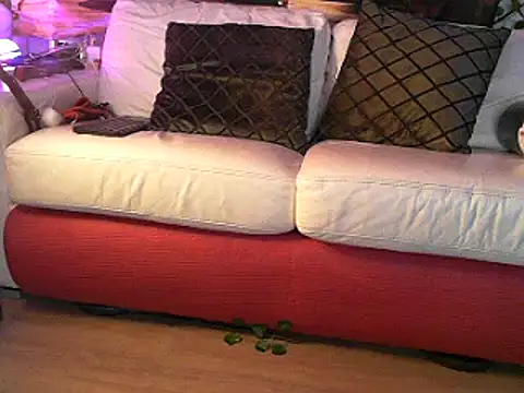 Snapshot of OSIRlS chatting on March 2, 12:43 pm OSIRlS online show from March 2, 12:43 pm