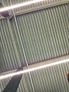 Snapshot of LeticiaWoods chatting on October 19, 12:28 pm LeticiaWoods online show from October 19, 12:28 pm