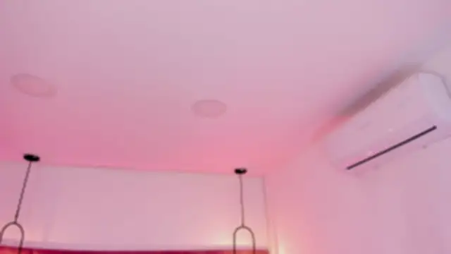 babepolly online show from January 16, 10:19 am