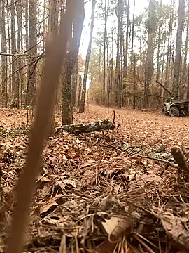 Themechanic420 online show from December 14, 7:14 pm