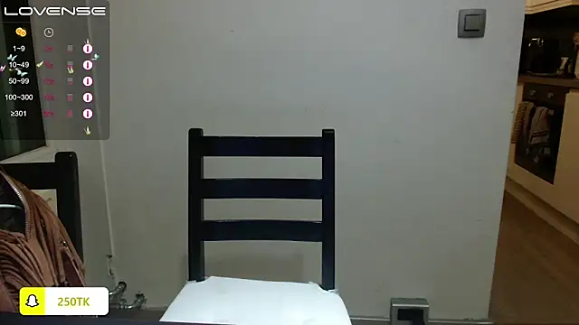 Snapshot of Thepanthera chatting on December 14, 4:42 pm Thepanthera online show from December 14, 4:42 pm