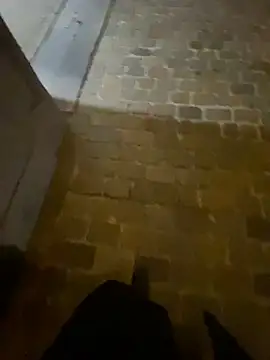 Snapshot of Thepanthera chatting on September 22, 4:47 am Thepanthera online show from September 22, 4:47 am