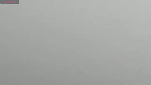 Snapshot of natasha_logan_ chatting on March 11, 3:59 am natasha logan online show from March 11, 3:59 am