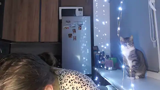 delightful sofi online show from October 23, 9:13 pm