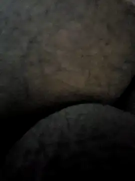 Snapshot of Mallupaiyanaachu chatting on February 3, 4:31 pm Mallupaiyanaachu online show from February 3, 4:31 pm