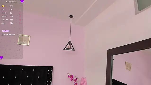 Snapshot of CeliWoods chatting on January 6, 5:38 pm CeliWoods online show from January 6, 5:38 pm