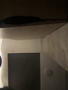 Snapshot of CeliWoods chatting on October 5, 10:02 am CeliWoods online show from October 5, 10:02 am