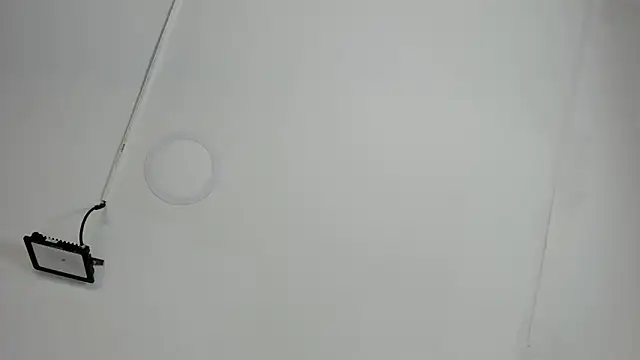 Snapshot of CeliWoods chatting on October 12, 11:20 am CeliWoods online show from October 12, 11:20 am