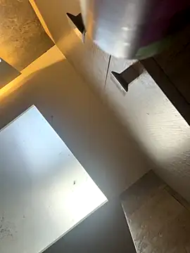 Snapshot of CeliWoods chatting on November 26, 11:11 am CeliWoods online show from November 26, 11:11 am