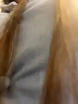 Reggie-Liam online show from January 9, 12:46 am