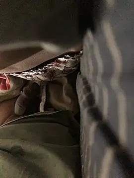 CoolBiDude online show from December 26, 6:12 pm