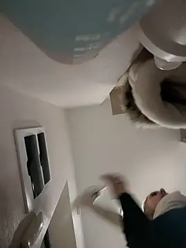 pinkstar  online show from February 23, 8:39 am