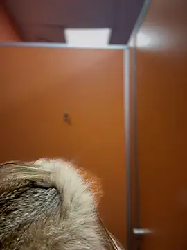 pinkstar  online show from February 24, 9:10 am