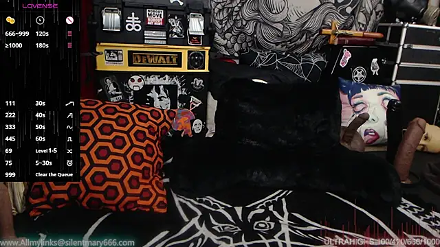 Snapshot of Silentmary chatting on December 28, 7:43 pm Silentmary online show from December 28, 7:43 pm