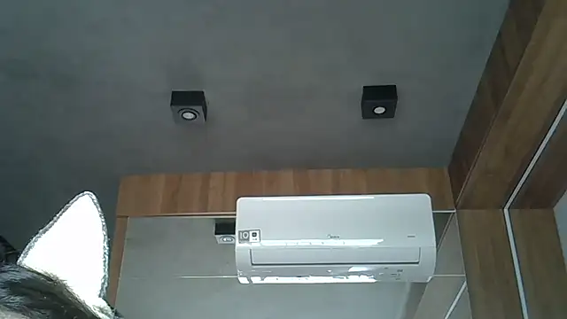 Skinny-Kitten online show from October 9, 12:36 pm