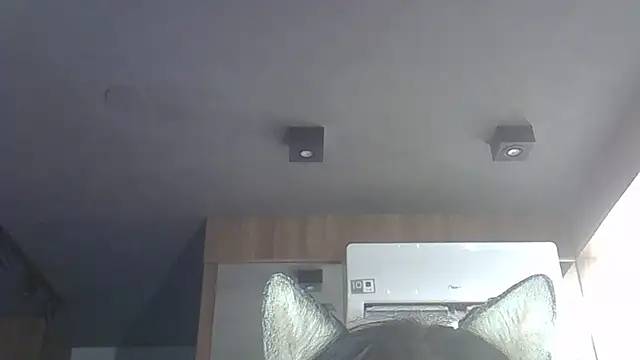 Skinny-Kitten online show from December 3, 11:14 pm