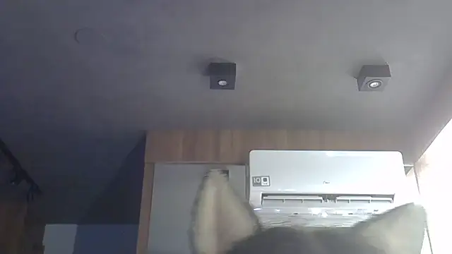 Skinny-Kitten online show from December 16, 5:18 pm