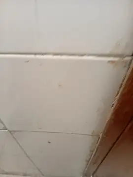 ManBlackhot online show from April 4, 2:25 pm