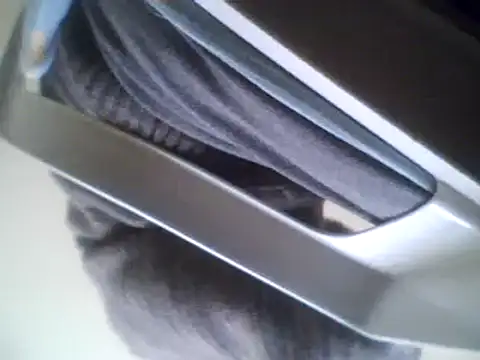 Snapshot of bestofyalcinturkey chatting on March 3, 8:38 am bestofyalcinturkey online show from March 3, 8:38 am