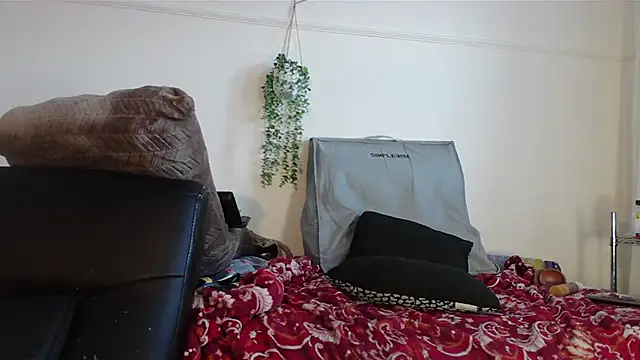 Snapshot of VANESSADDD chatting on February 21, 8:05 pm VANESSADDD online show from February 21, 8:05 pm