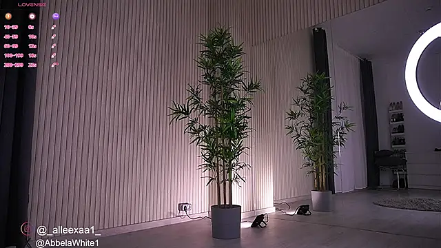 Snapshot of Abbela_White chatting on January 23, 6:39 am Abbela White online show from January 23, 6:39 am