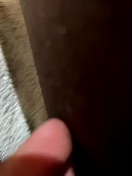 la chiennete online show from November 18, 9:30 pm