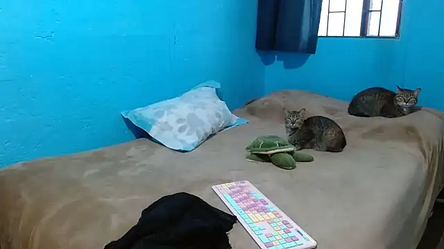 Snapshot of clarisse69 chatting on March 18, 5:10 pm clarisse69 online show from March 18, 5:10 pm