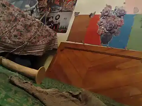 EllyseJenner online show from January 6, 6:20 pm