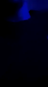 Snapshot of Midwestalpha chatting on January 6, 10:02 am Midwestalpha online show from January 6, 10:02 am