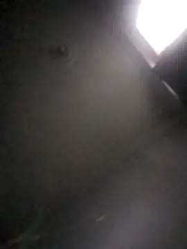 kevin613603 online show from February 1, 10:47 am