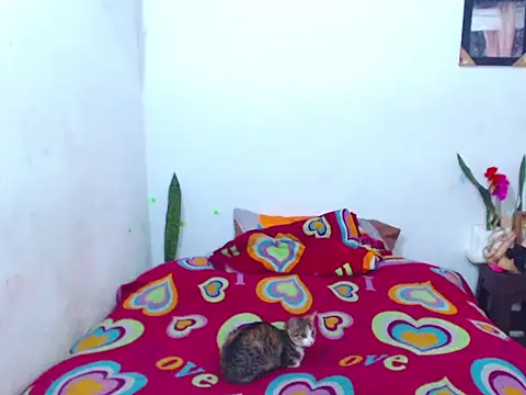 Snapshot of The_wickles_4443 chatting on February 14, 4:09 pm The wickles 4443 online show from February 14, 4:09 pm