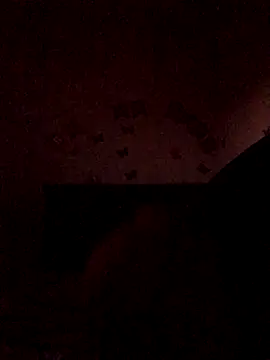 Snapshot of The_wickles_4443 chatting on November 22, 11:04 pm The wickles 4443 online show from November 22, 11:04 pm