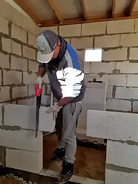 Pandasky online show from November 1, 10:17 am