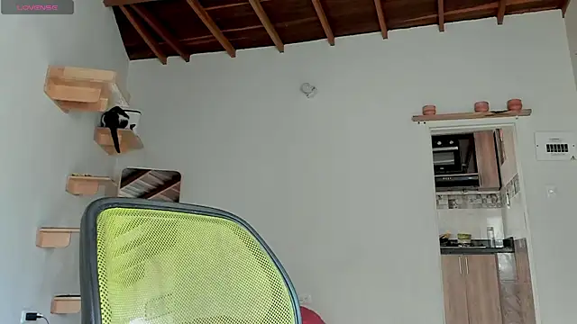 Rainbow leia online show from October 12, 7:02 pm