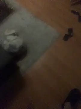 Snapshot of chrille82 chatting on November 21, 6:06 pm chrille82 online show from November 21, 6:06 pm