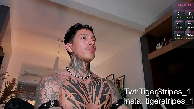 TigerStripes1  online show from February 22, 1:11 am