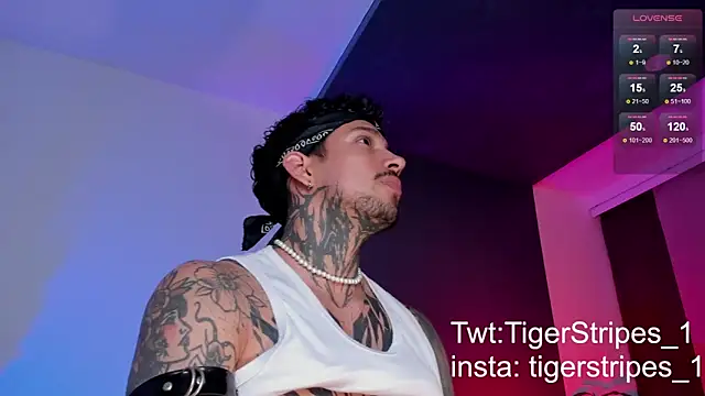 TigerStripes1  online show from March 11, 10:42 pm