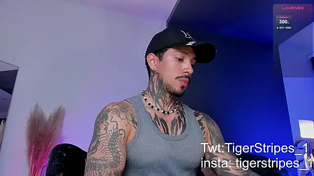 TigerStripes1  online show from March 19, 12:59 am