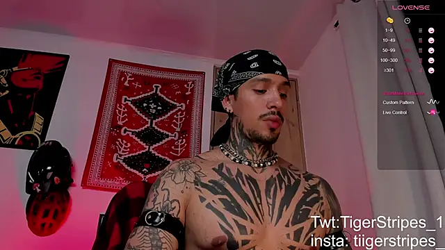 TigerStripes1  online show from March 19, 6:28 am