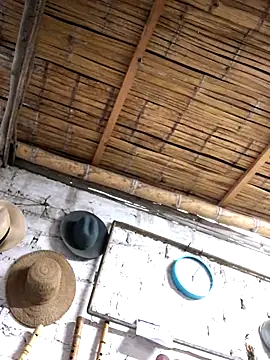 Snapshot of kvr27 chatting on November 3, 11:00 am kvr27 online show from November 3, 11:00 am