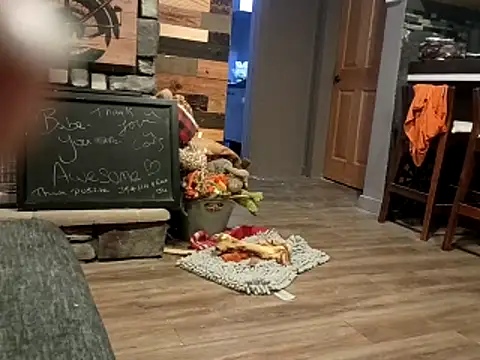 Snapshot of Donglong80 chatting on November 25, 12:05 pm Donglong80 online show from November 25, 12:05 pm